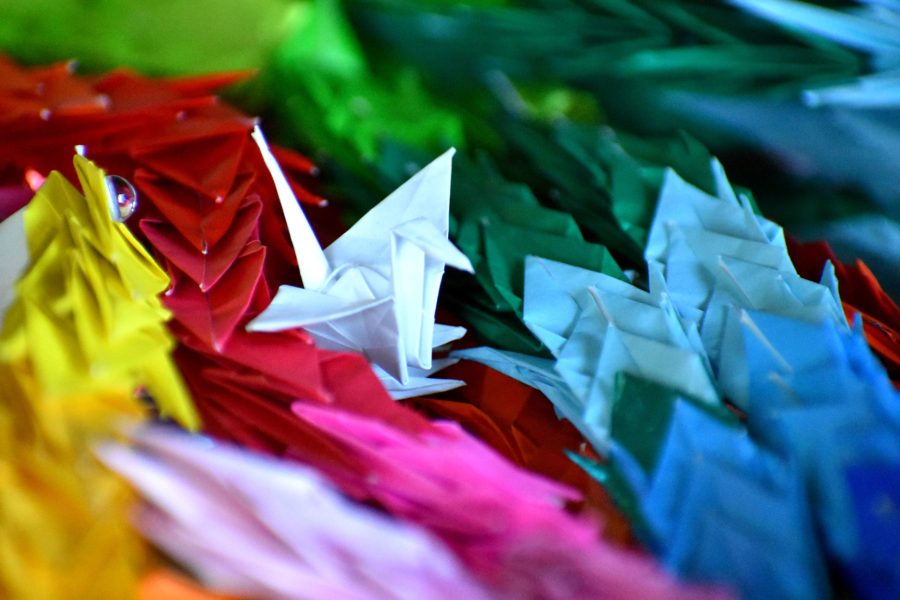 paper cranes. Photo by Kelly Peterson