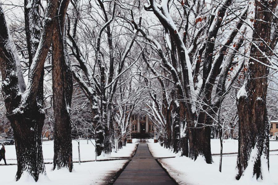 One of Taylors pictures taken on the CSU campus, capturing the oval in the midst of a snowfall. Photo courtesy of: Rachel Taylor