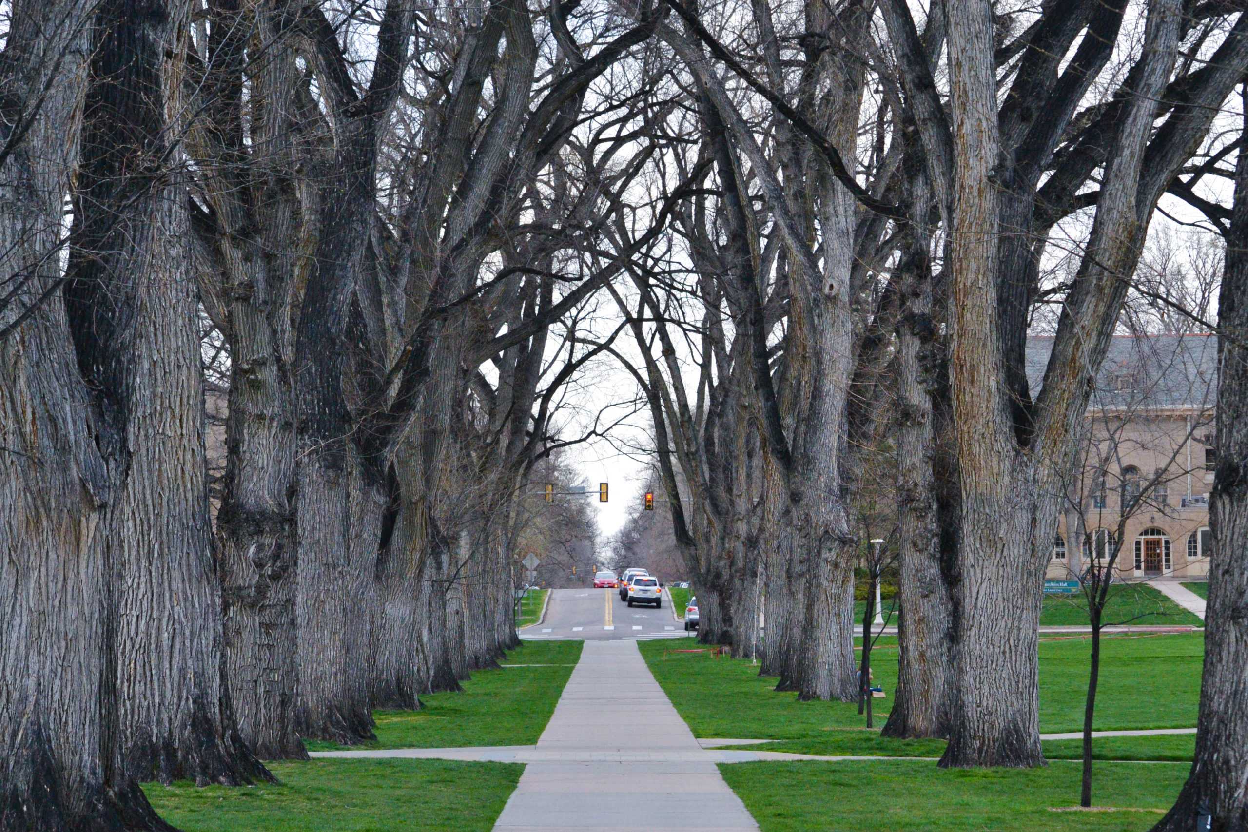 CSU Is Celebrating Earth Day All Week Long - College Ave Mag