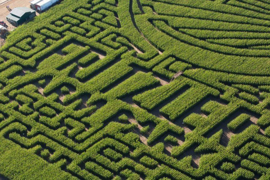 Fritzler Farm Park, formerly Fritzlers Corn maze revealed their new maze design on Sept 13, 2018. The park continues its regular fall events, the Oktoberfest from Oct. 6-7 and Hometown Heroes from Oct. 13-14. (Colin Shepherd | Collegian)