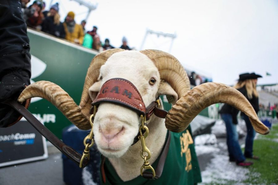 CSUs Cam the Ram during the game against Utah State. The Rams lost to the Aggies 24-29. (Tony Villalobos May | Collegian)