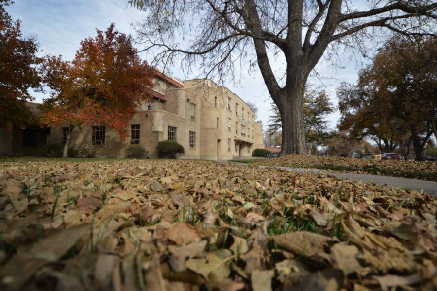 Student Services building in fallen leaves