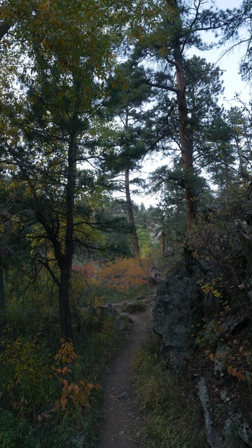The Horsetooth Falls trail.