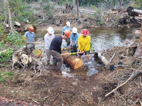 Wildlands Restoration Volunteers carry a log across a stream.