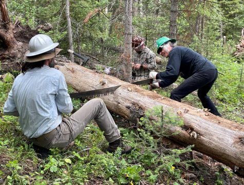 Two volunteers saw a log.