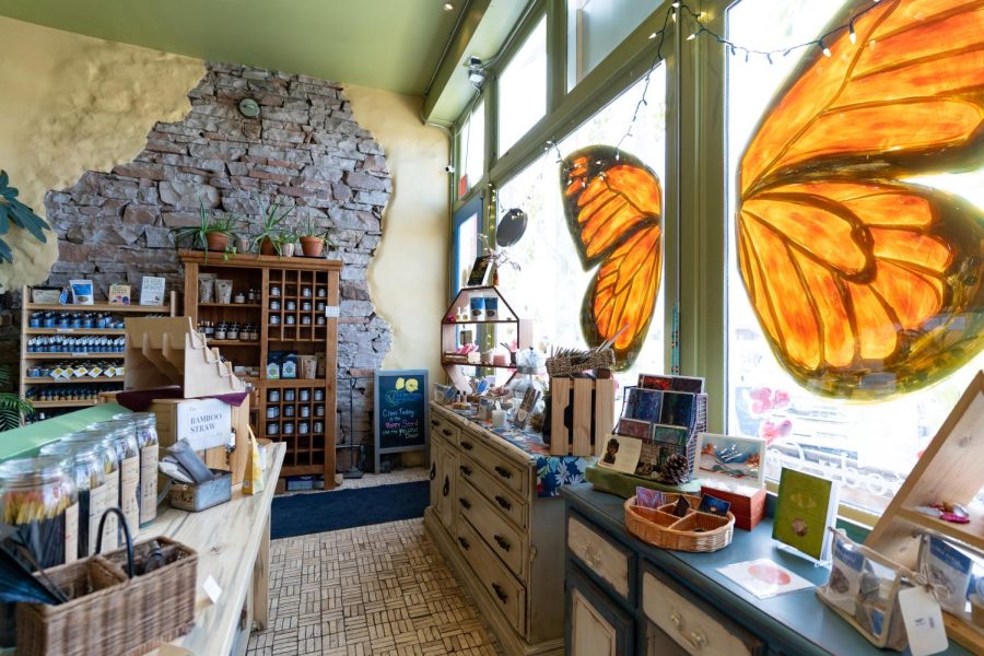 Golden Poppy Herbal Apothecarys shop in Old Town creates a bright, welcoming environment for customers to find carefully crafted self care and wellness products March 26.