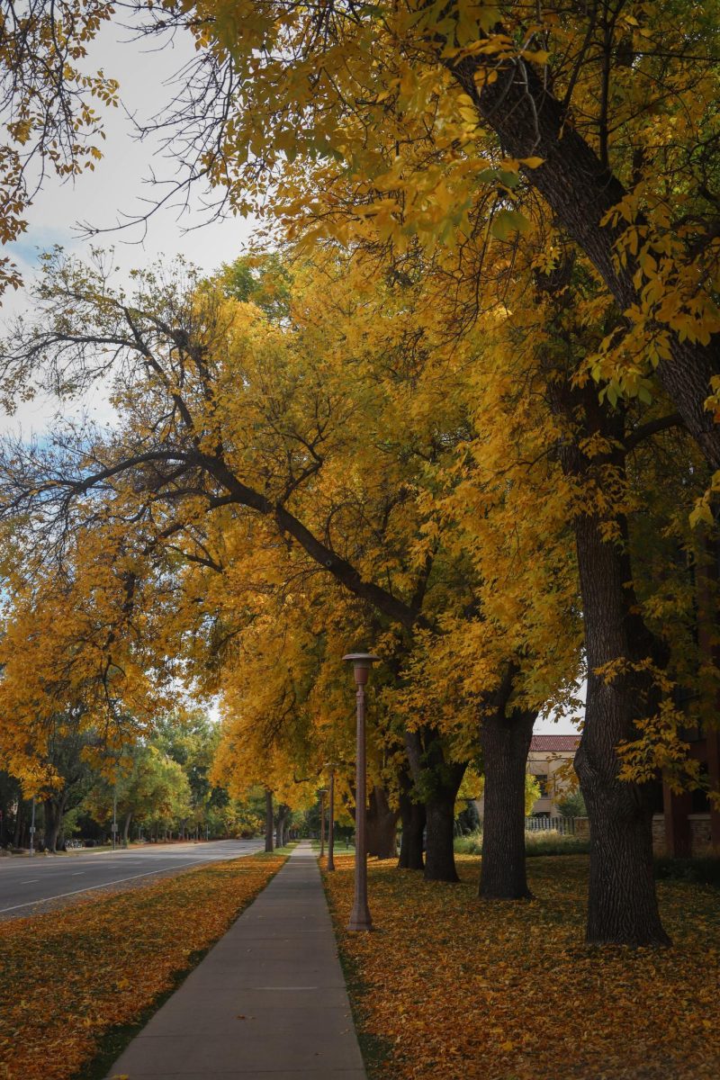 Fall colors along Laurel Street in Fort Collins, Colorado.