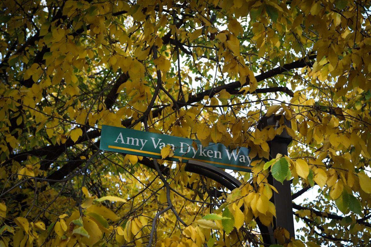 Yellow leaves envelope a street sign.