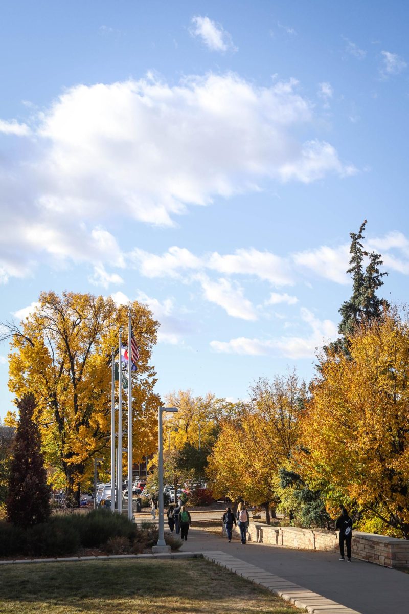 Changing leaves on Colorado State University's campus.