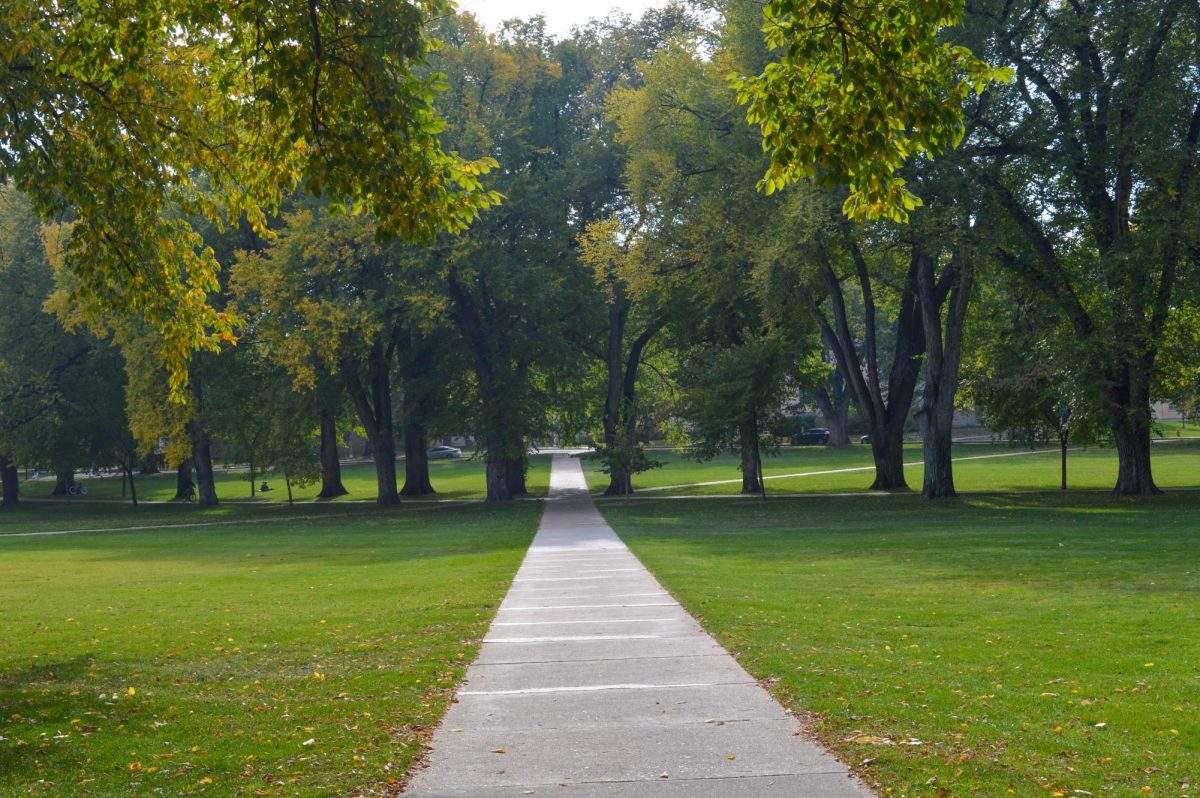 The Oval on Colorado State's campus Oct. 19.