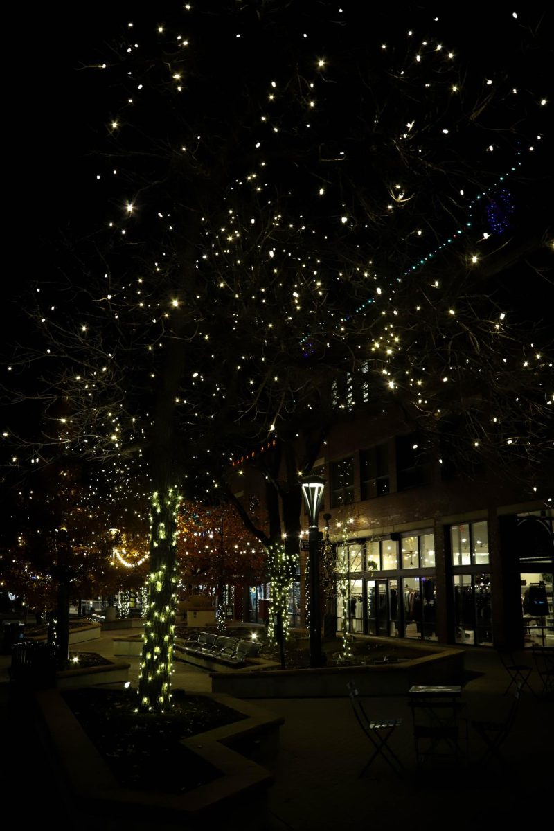 Lights in Old Town, Fort Collins Dec. 6, 2024.