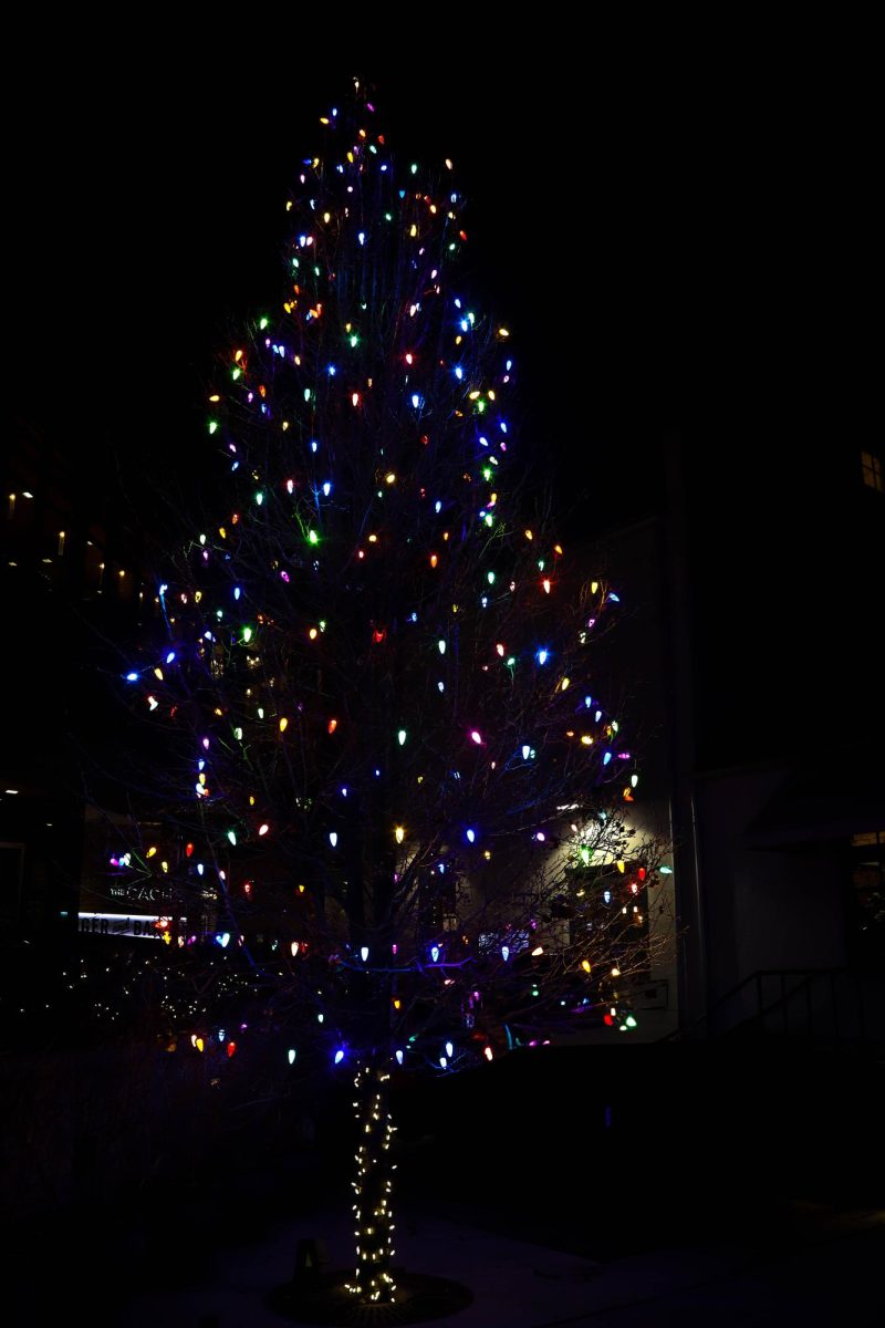 A Christmas tree outside of Ginger and Baker in Old Town, Fort Collins Dec. 6, 2024.