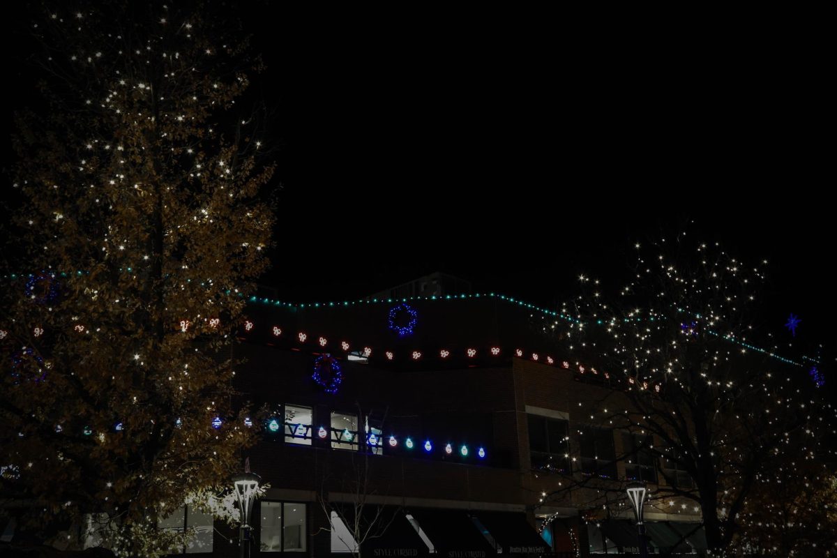 Christmas lights on the buildings and trees in Old Town, Fort Collins Dec. 6, 2024.