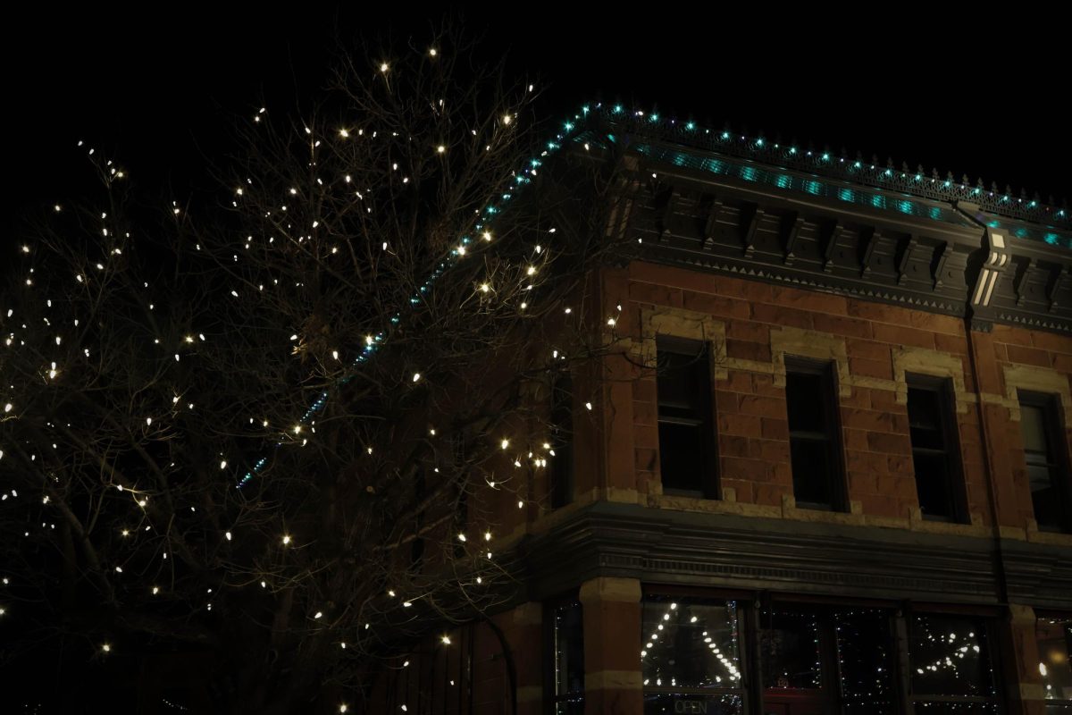 Christmas lights on buildings and trees in Old Town, Fort Collins Dec. 6, 2024.