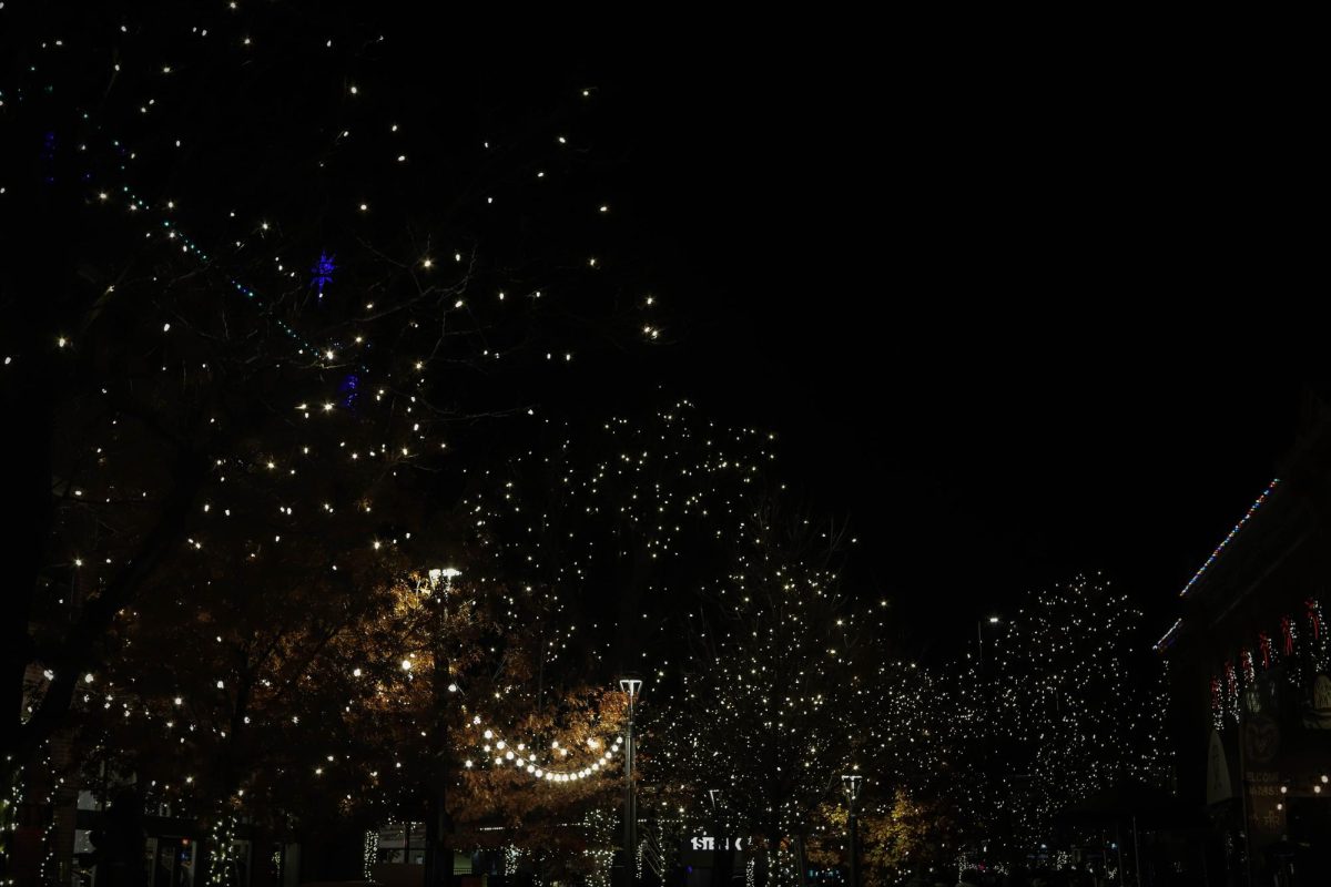 Christmas lights in Old Town, Fort Collins Dec. 6, 2024.