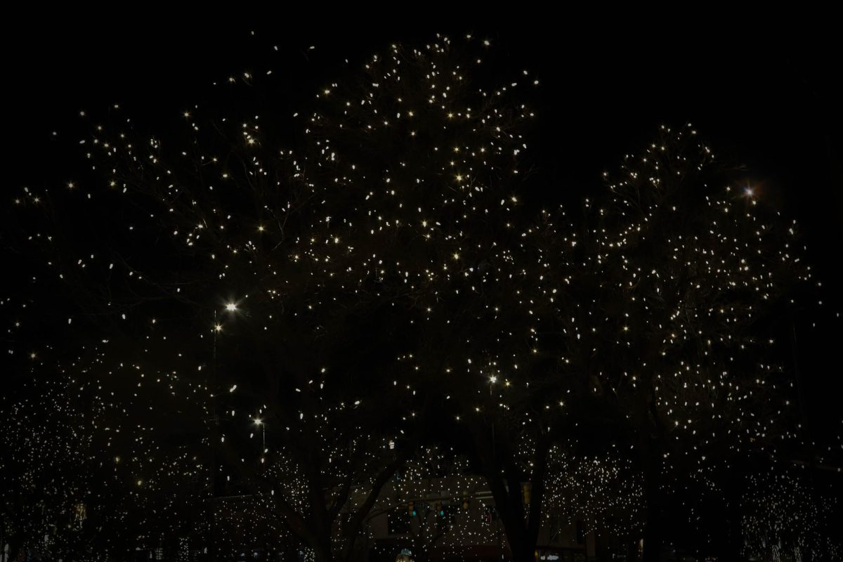 Christmas lights in trees in Old Town, Fort Collins Dec. 6, 2024.