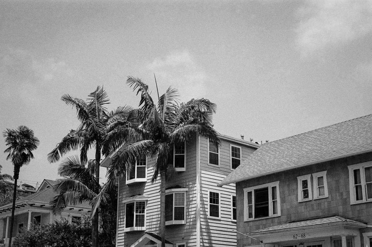 Houses along First Street in Ventura, California on June 19.