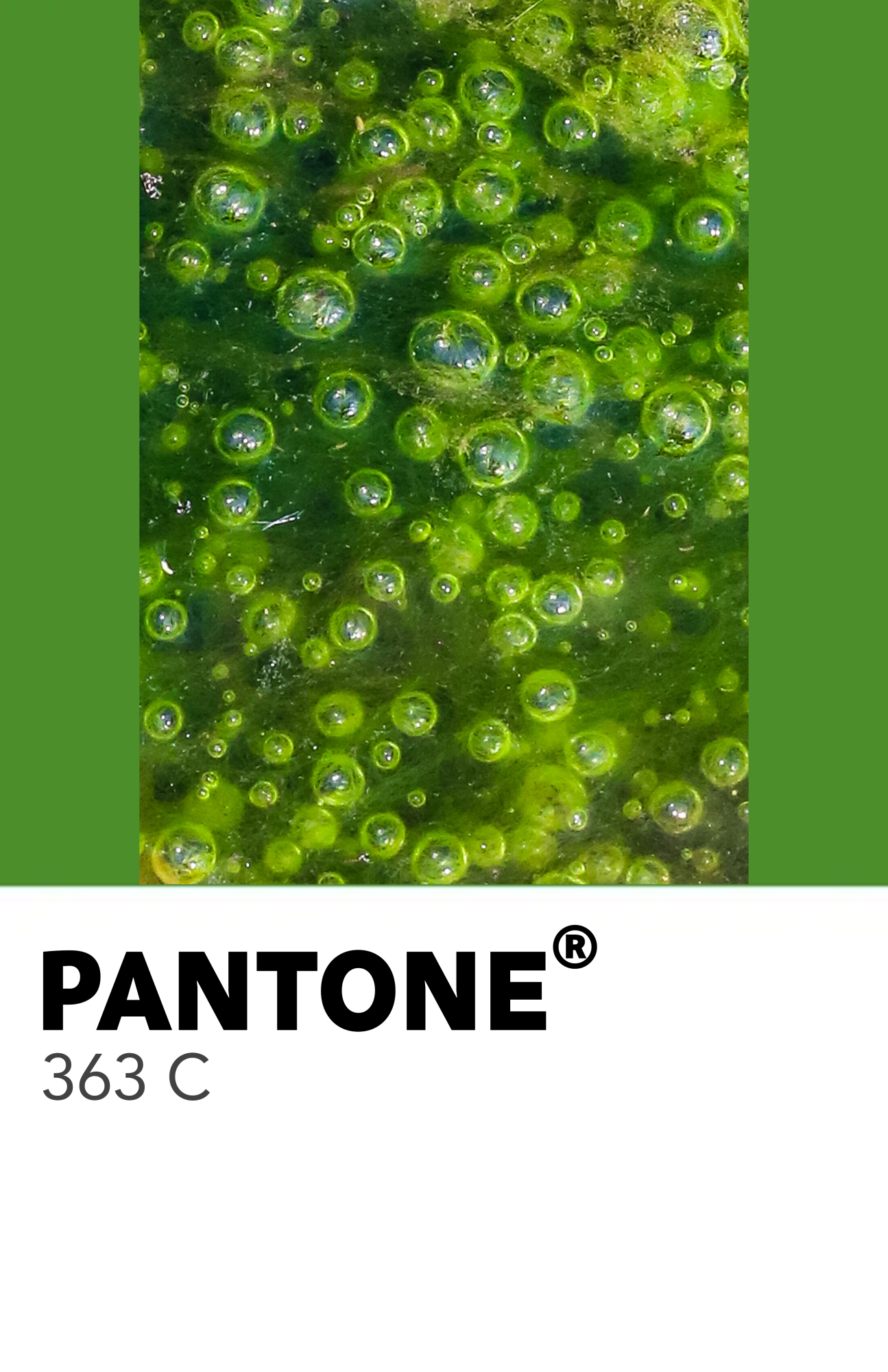 50 Shades of Green