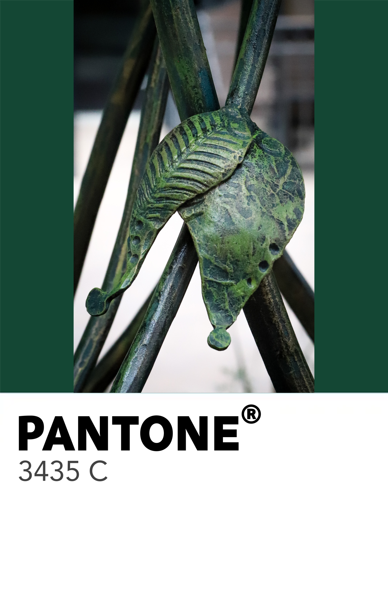 50 Shades of Green