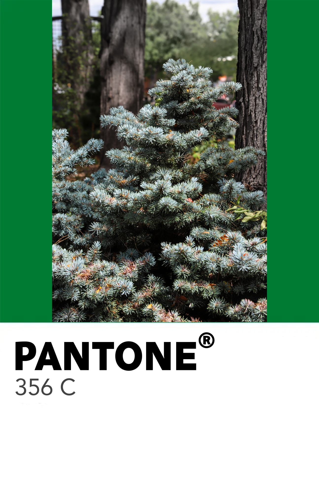 50 Shades of Green