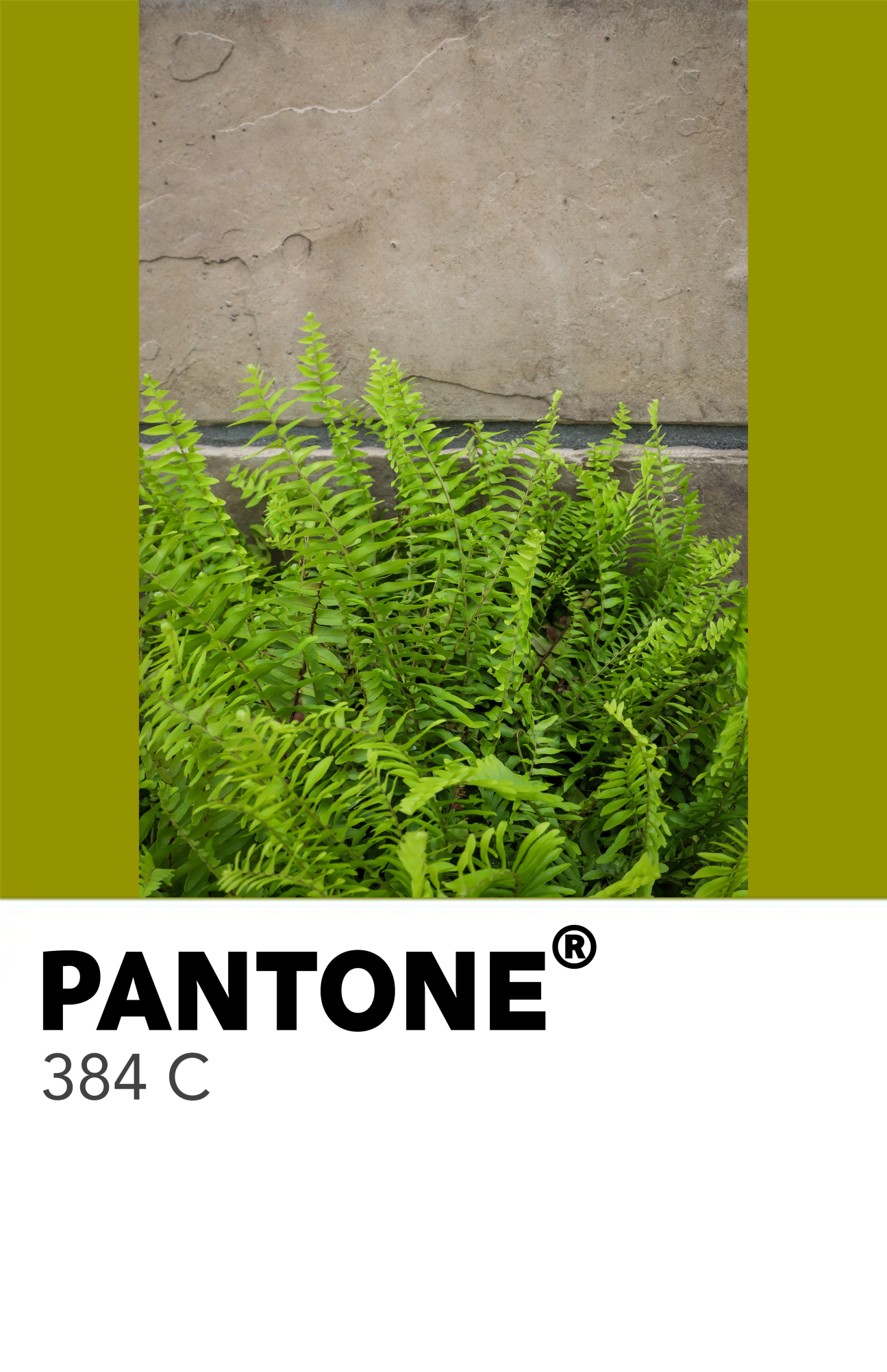 50 Shades of Green