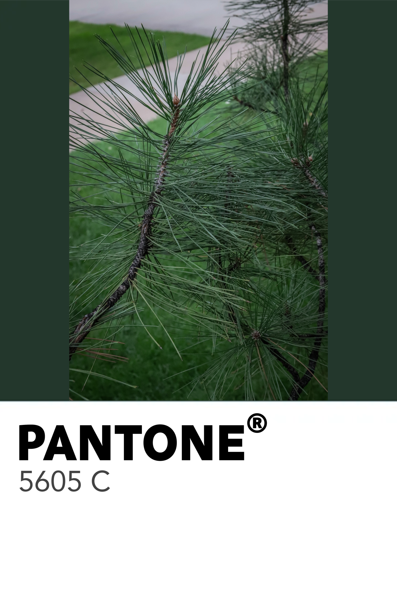 50 Shades of Green