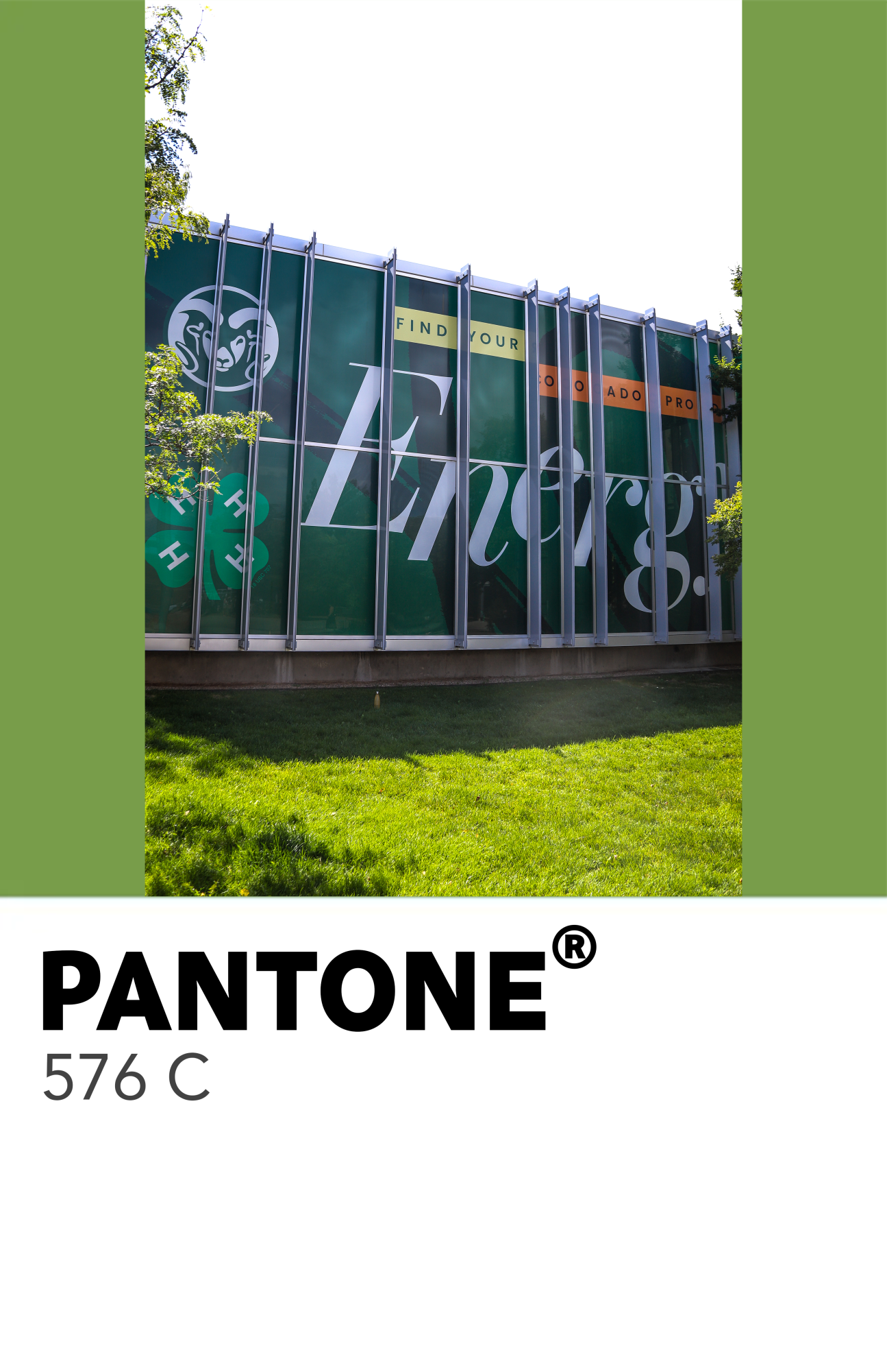50 Shades of Green