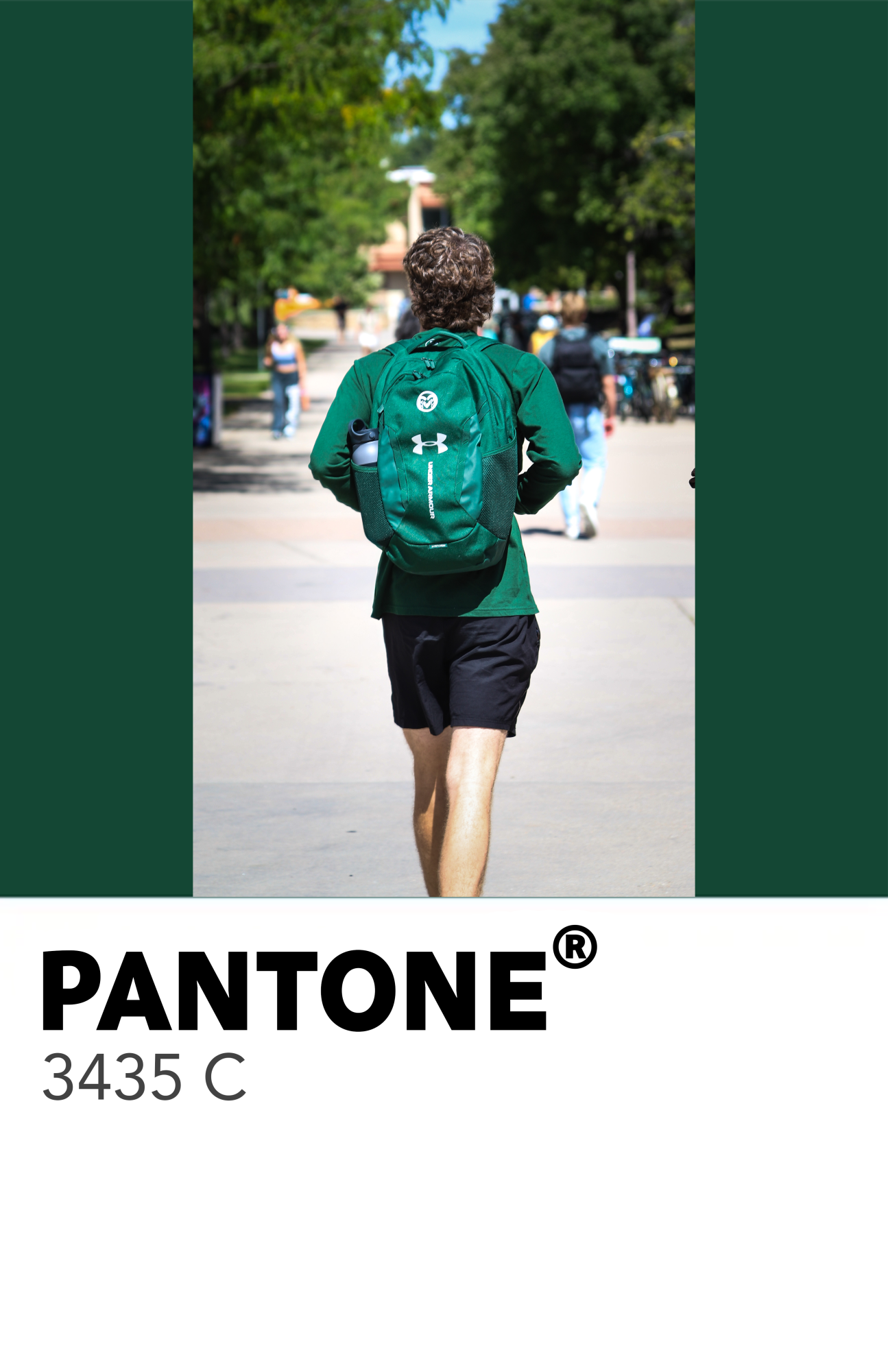 50 Shades of Green