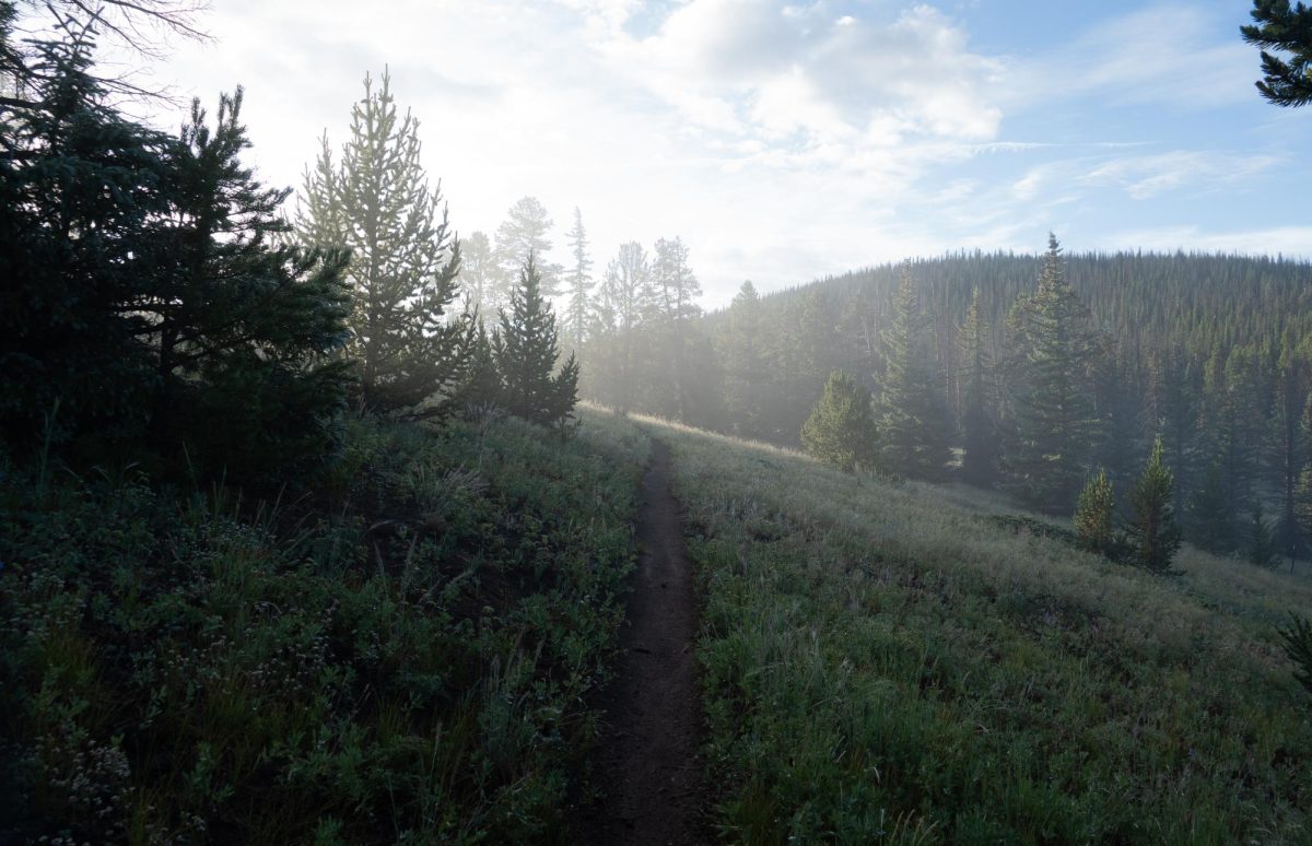 The Colorado Trail