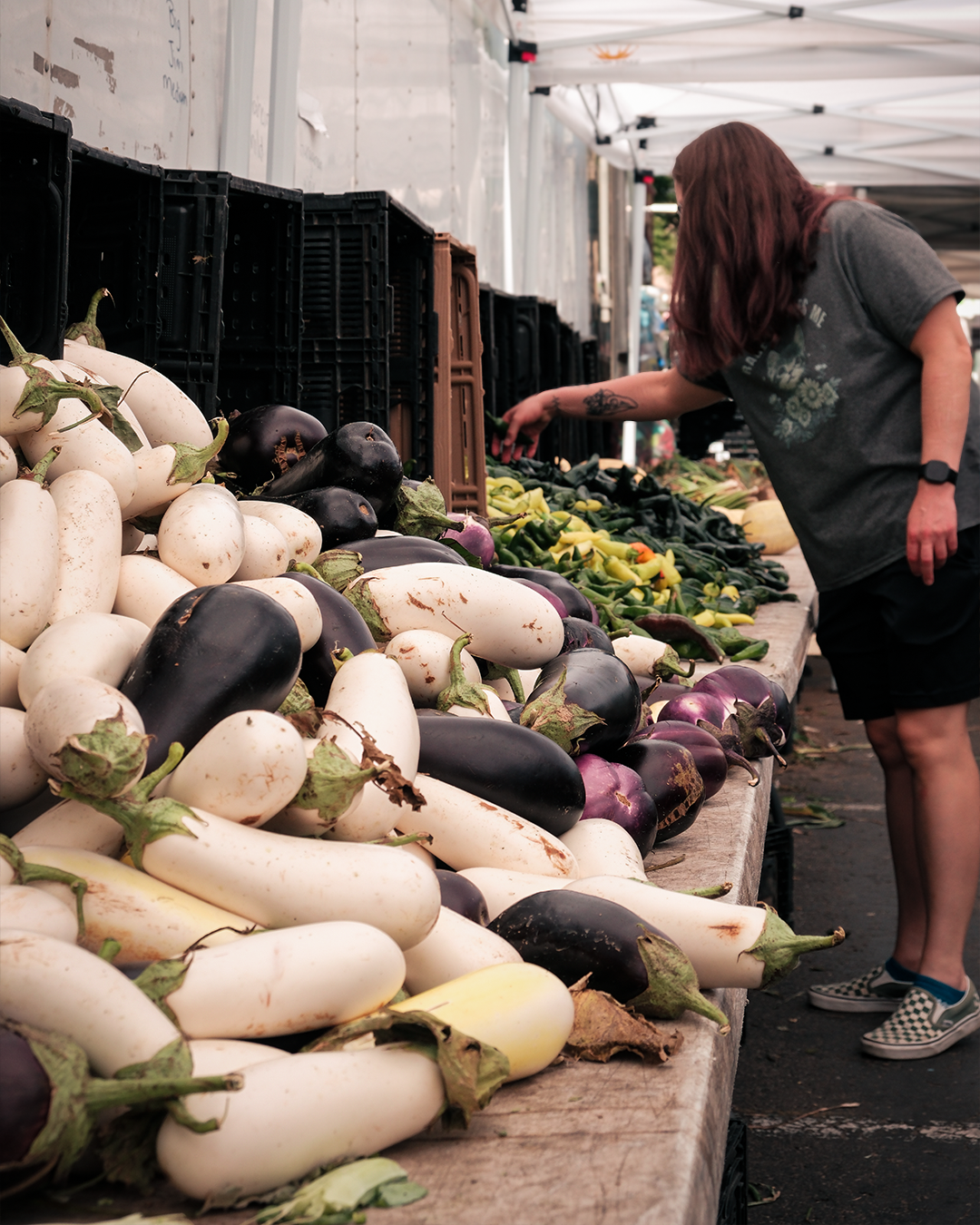The Aestethics of the Farmers Market
