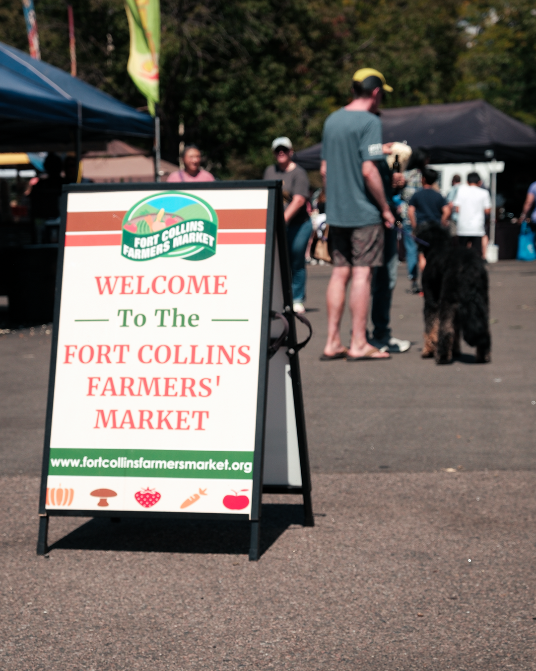 The Aestethics of the Farmers Market